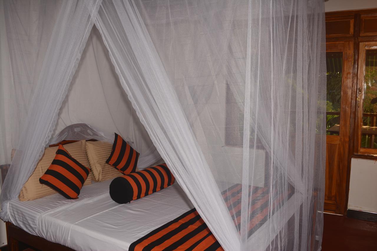 Ella River Face Inn Zewnętrze zdjęcie