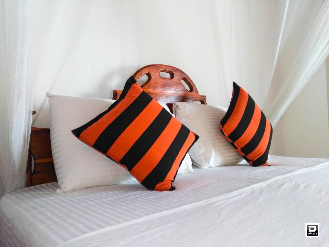 Ella River Face Inn Zewnętrze zdjęcie