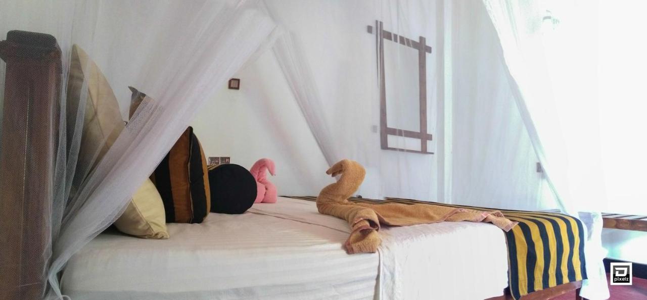 Ella River Face Inn Zewnętrze zdjęcie