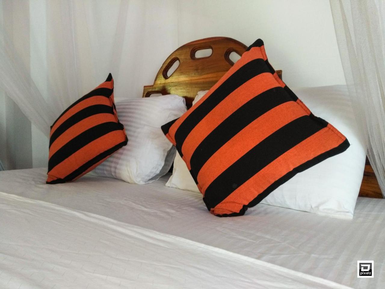 Ella River Face Inn Zewnętrze zdjęcie